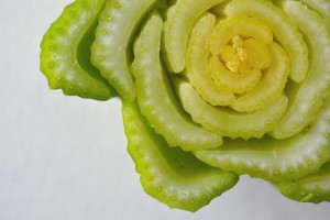 Celery 3                     